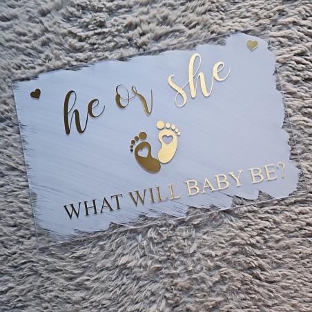 Baby Party Shower what will baby be he or she 29 x 42 cm